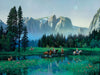 Alexander Chen - Yosemite Cowboys (UNFRAMED) - 11.5