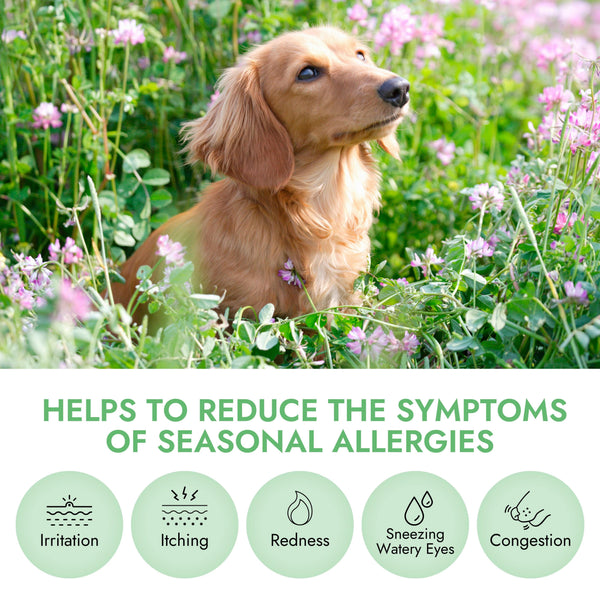 Pet Vet Allergy Relief Chews for Dogs (Beef Liver) – Itchy Skin Relief for Dog Allergies – Dog Itch Relief, Dog Skin Irritation Treatment, Dog Allergy Chews, Pet Probiotics for Dogs – Dog Health