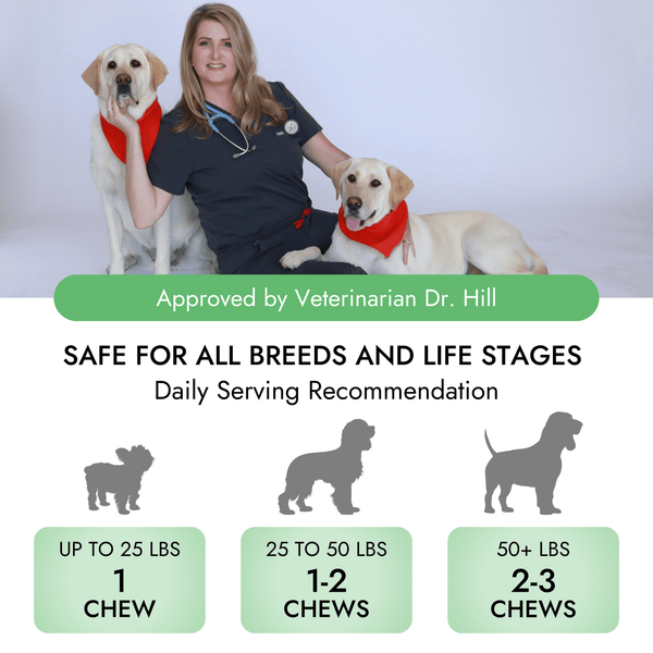Pet Vet Allergy Relief Chews for Dogs (Beef Liver) – Itchy Skin Relief for Dog Allergies – Dog Itch Relief, Dog Skin Irritation Treatment, Dog Allergy Chews, Pet Probiotics for Dogs – Dog Health