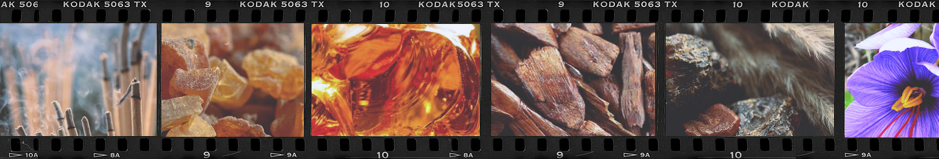 Flight No. 24 Almost Famous - Candle