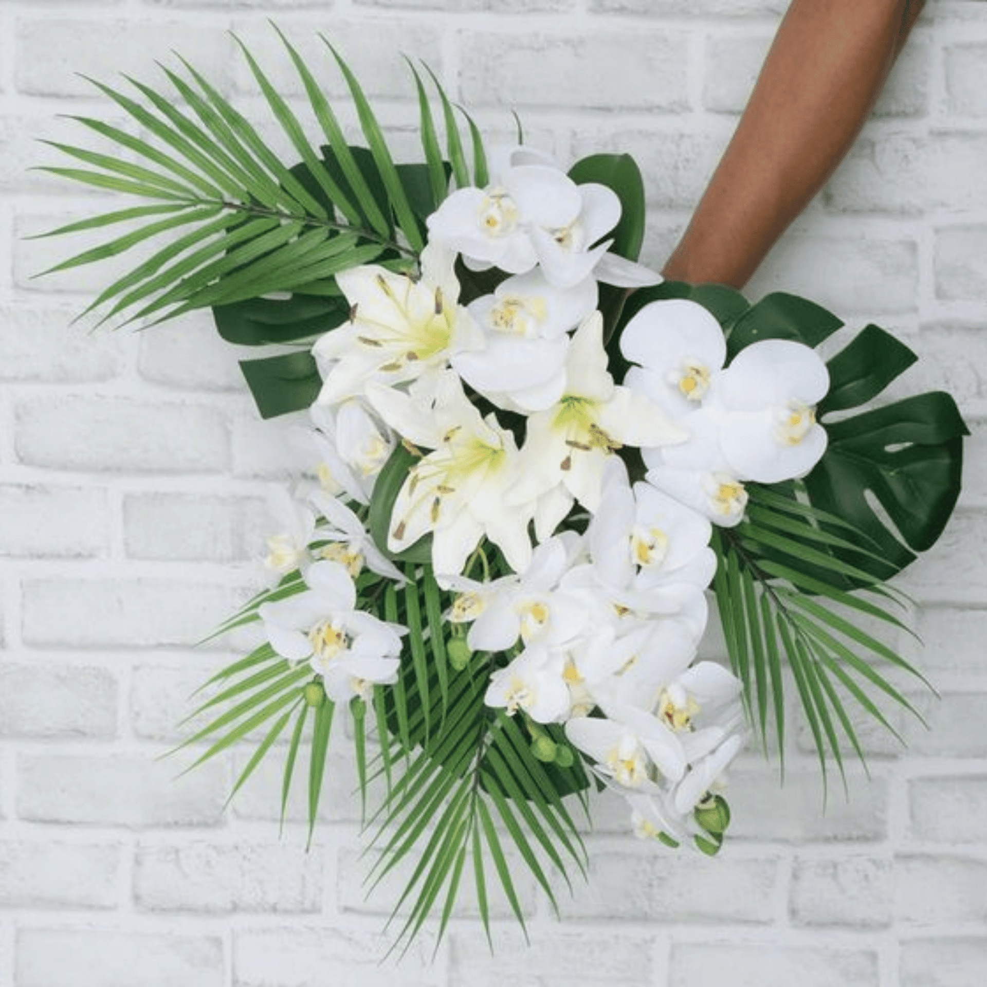 Aloha Orchid