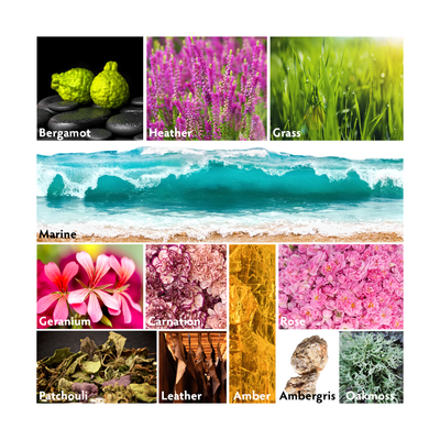 Amber Blue Travel Room Spray