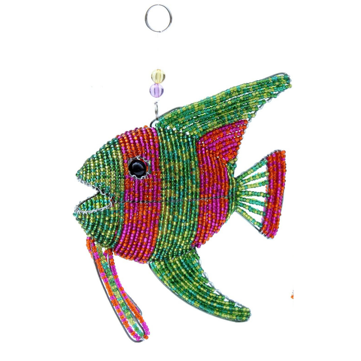 Angel Fish