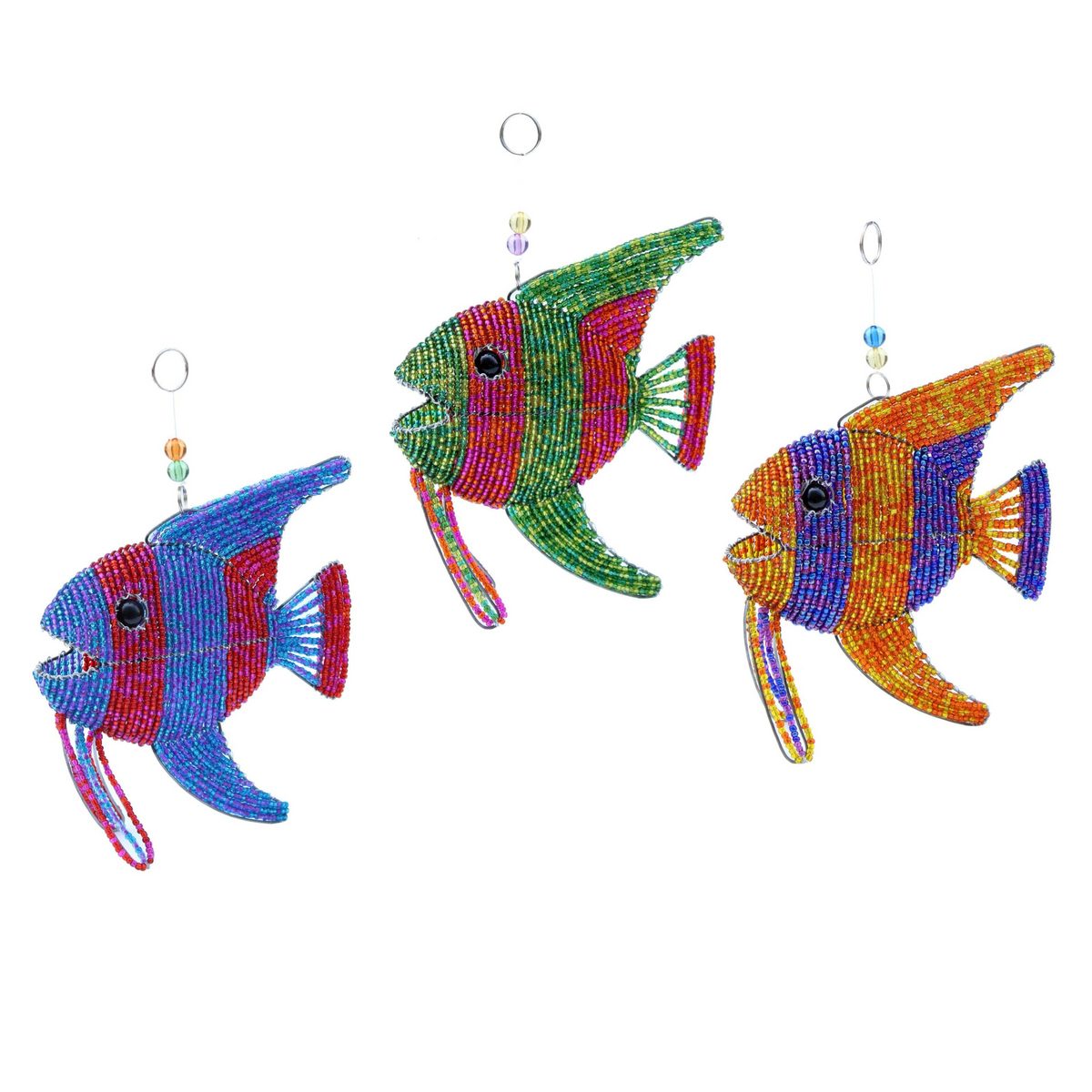 Angel Fish