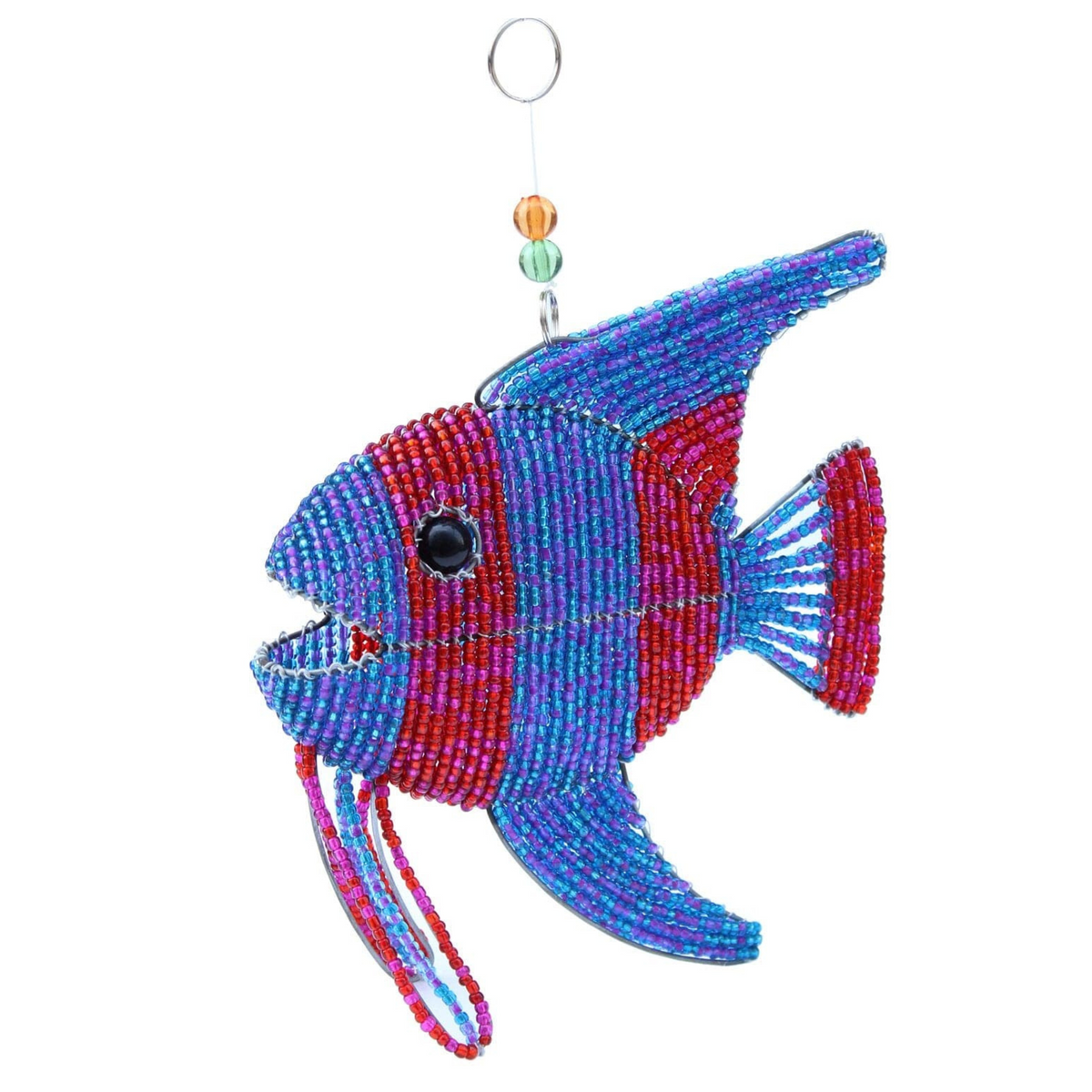 Angel Fish