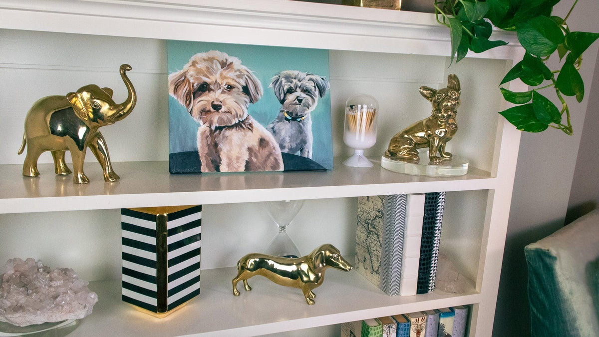 French Bulldog or 