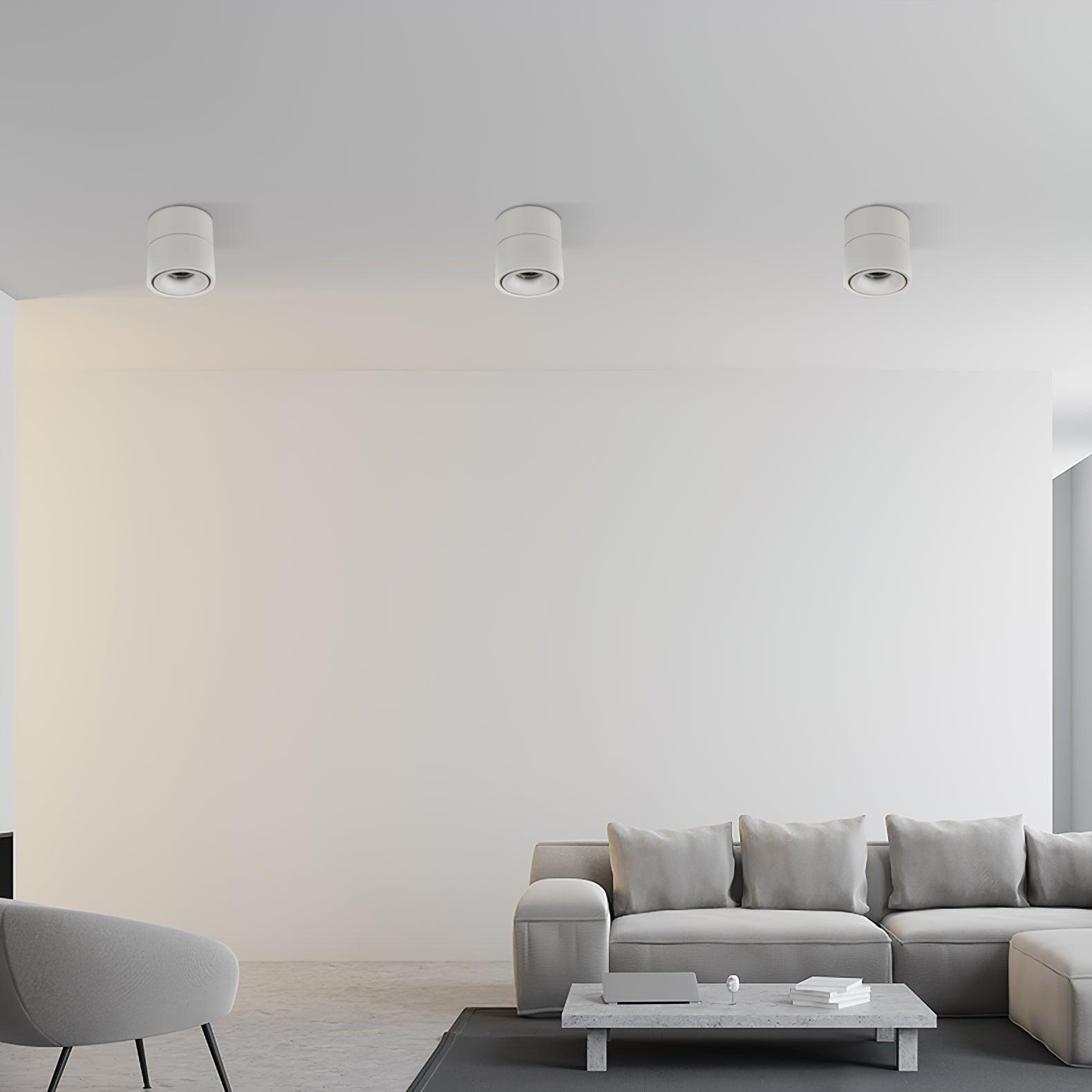 Anti-glare Nordic Surface Mounted Spotlight 3.9