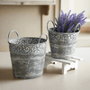 Antique Metal Buckets with Handles (Set of 2)