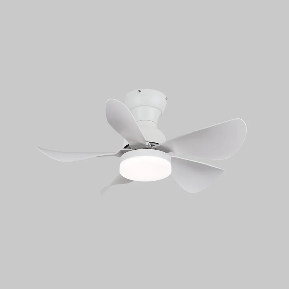 Arilia Small Blade Ceiling Fan Light