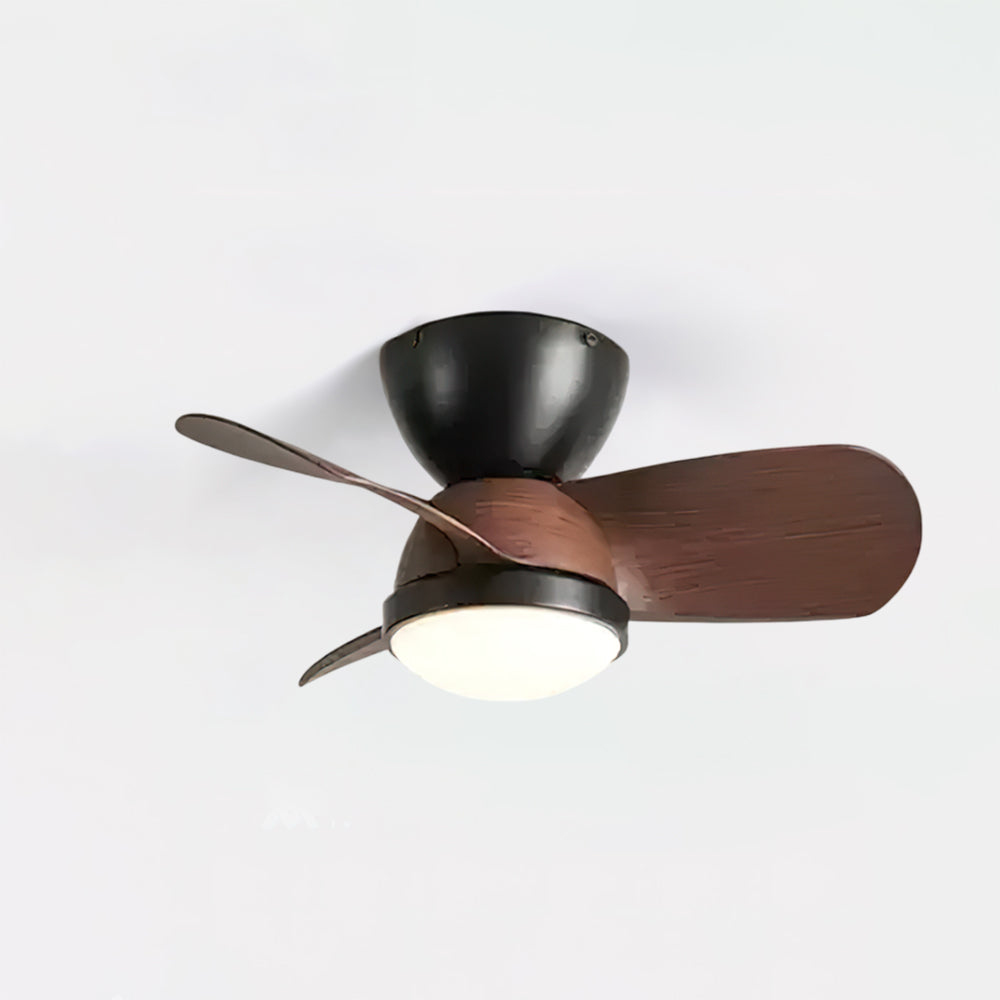 Arilia Ceiling Fan Light