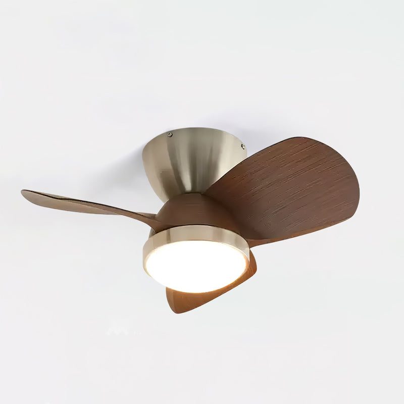 Arilia Ceiling Fan Light