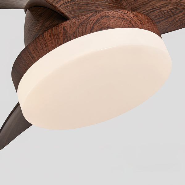 Arilia Ceiling Fan Light