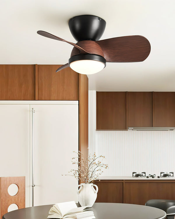 Arilia Ceiling Fan Light