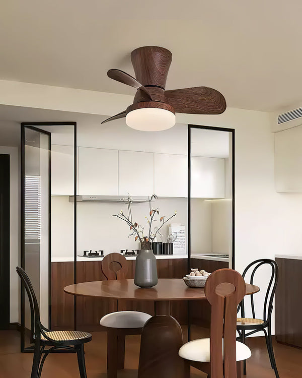 Arilia Ceiling Fan Light