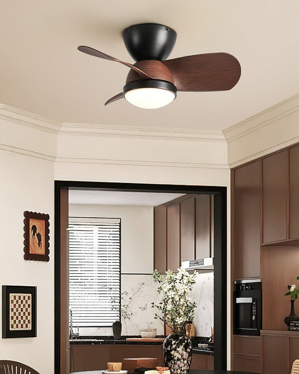 Arilia Ceiling Fan Light