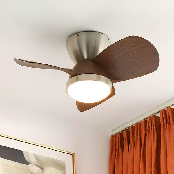 Arilia Ceiling Fan Light