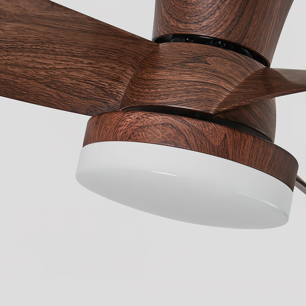 Arilia Ceiling Fan Light