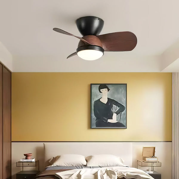 Arilia Ceiling Fan Light