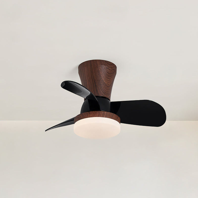 Arilia Ceiling Fan Light
