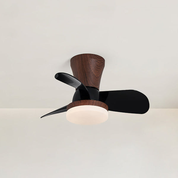 Arilia Ceiling Fan Light
