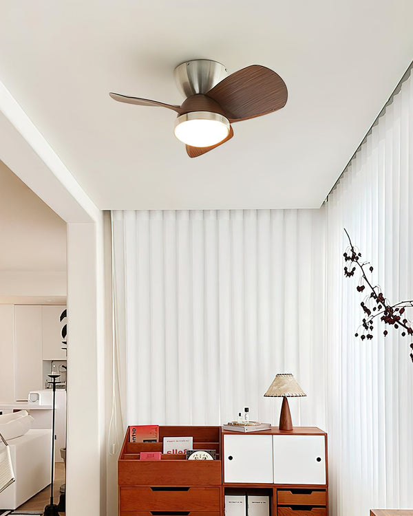 Arilia Ceiling Fan Light