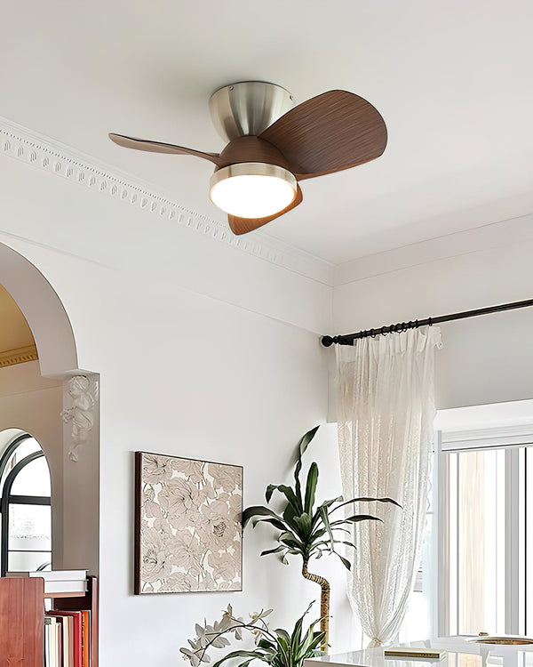 Arilia Ceiling Fan Light
