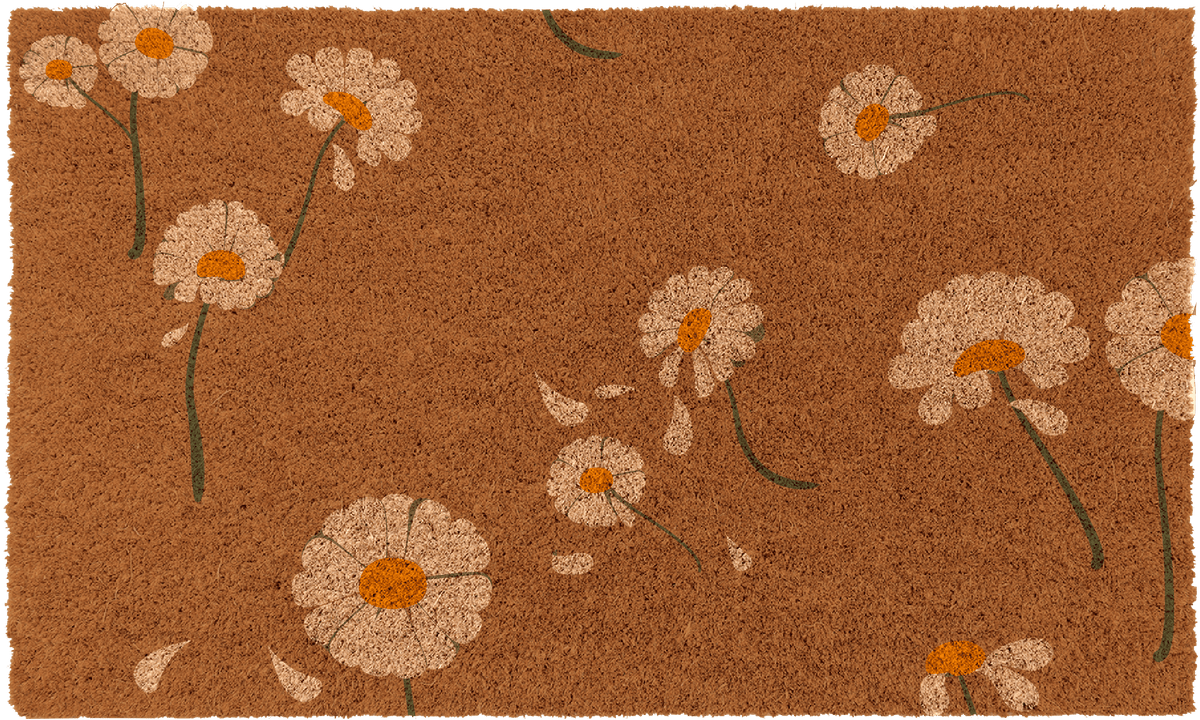 Daisy Flowers