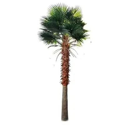 Mexican Fan Palm Artificial Tree 13ft–23ft – UV Resistant (10–12 Week Lead Time)