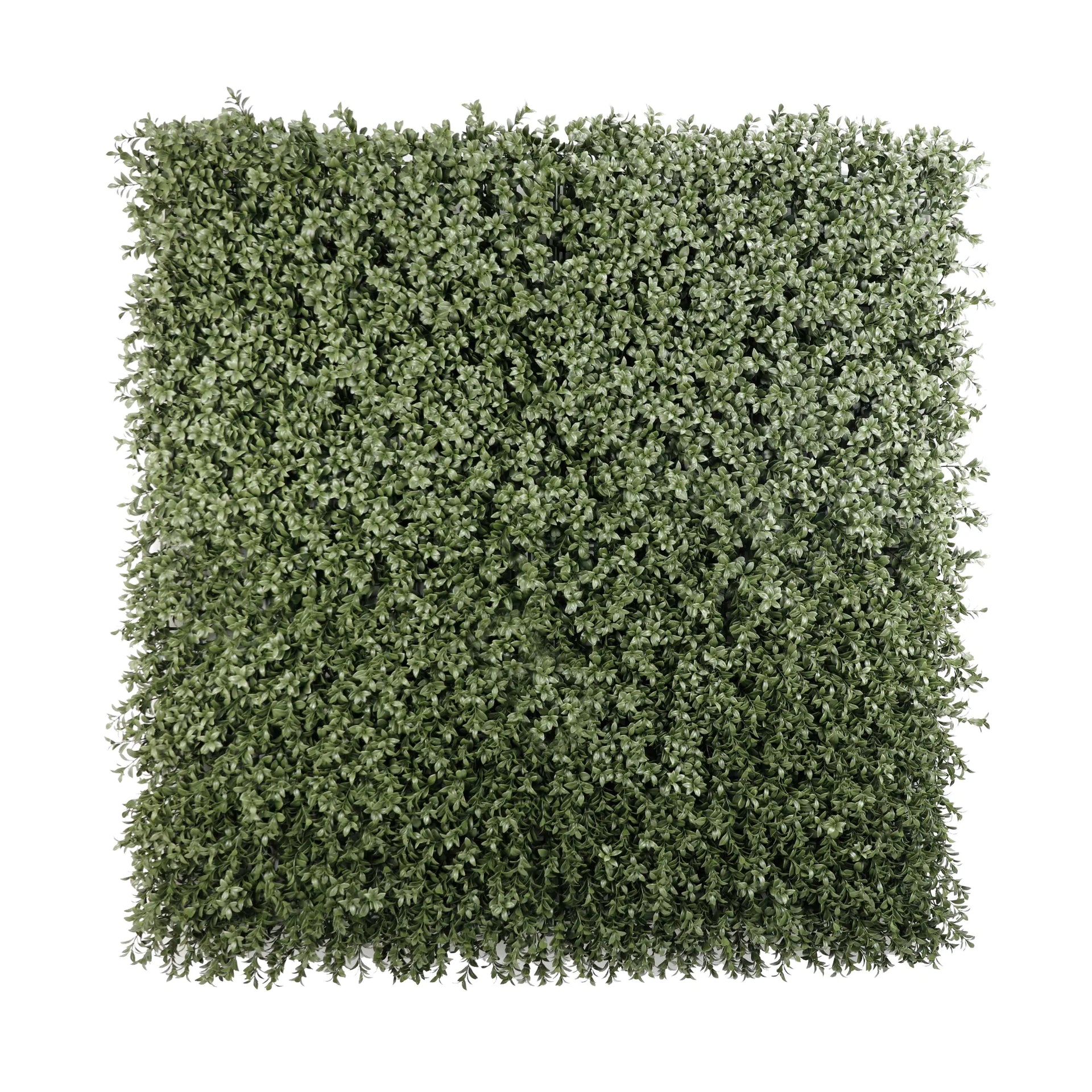 Natural Dark Green Boxwood Artificial Vertical Garden Green Wall Panel 40×40in 11 SQ FT – NFPA701 Fire Rated – UV Resistant – Commercial Grade