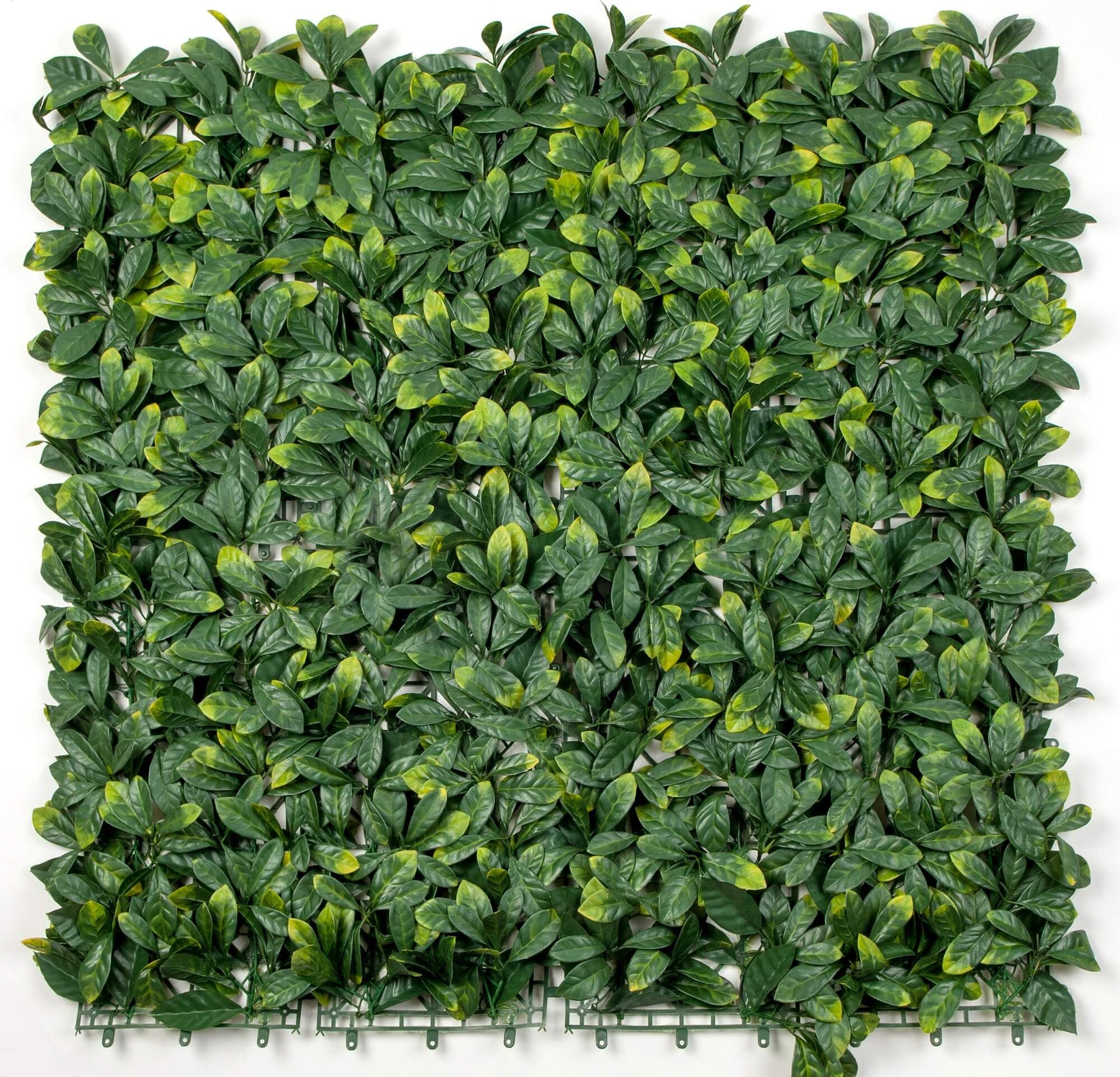 Laurel Artificial Vertical Garden Green Wall Panel 40×40in 11 SQ FT – UV Resistant – Commercial Grade