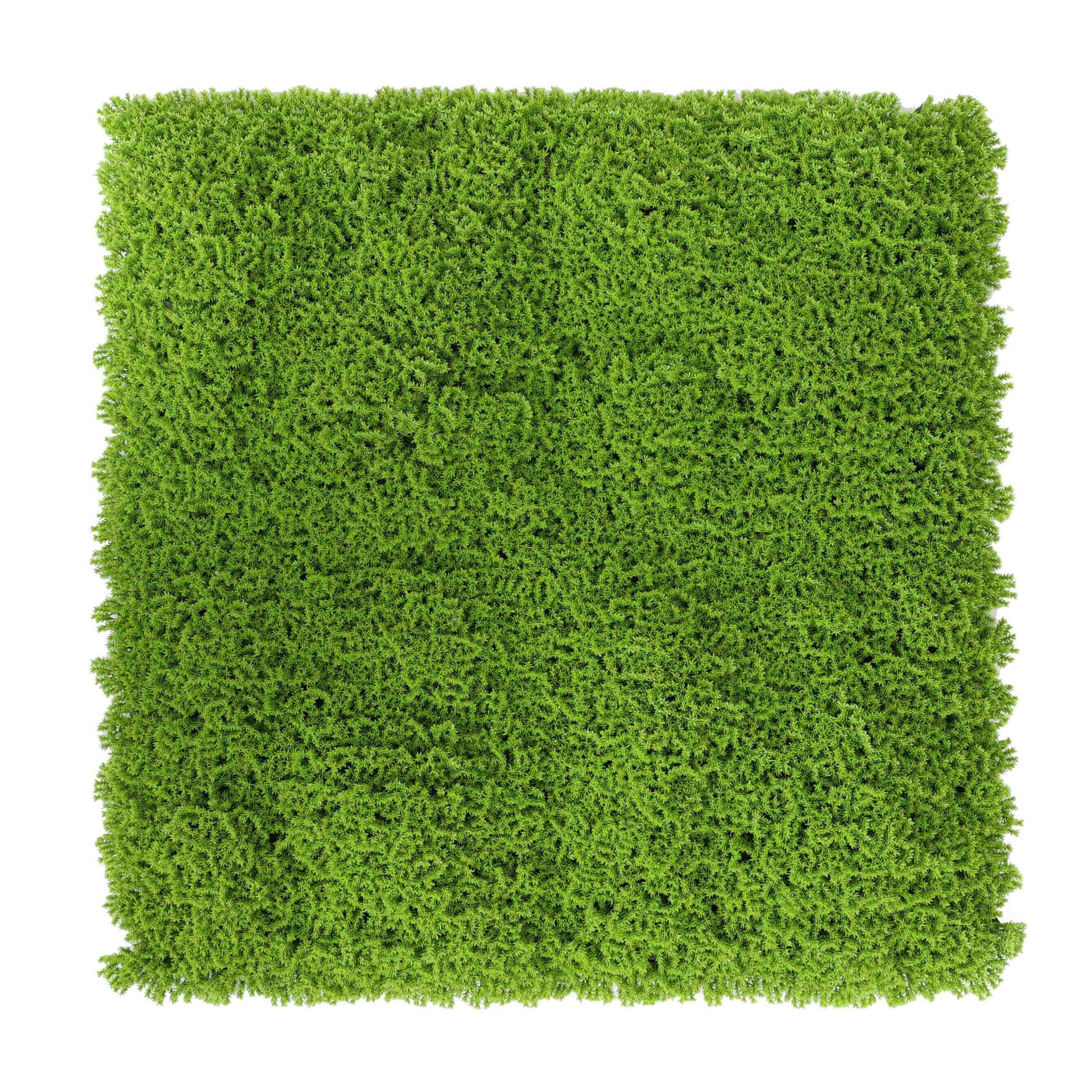 Evergreen Moss Artificial Green Wall Mat 40×20in 5.5 SQ FT – UV Resistant – Commercial Grade