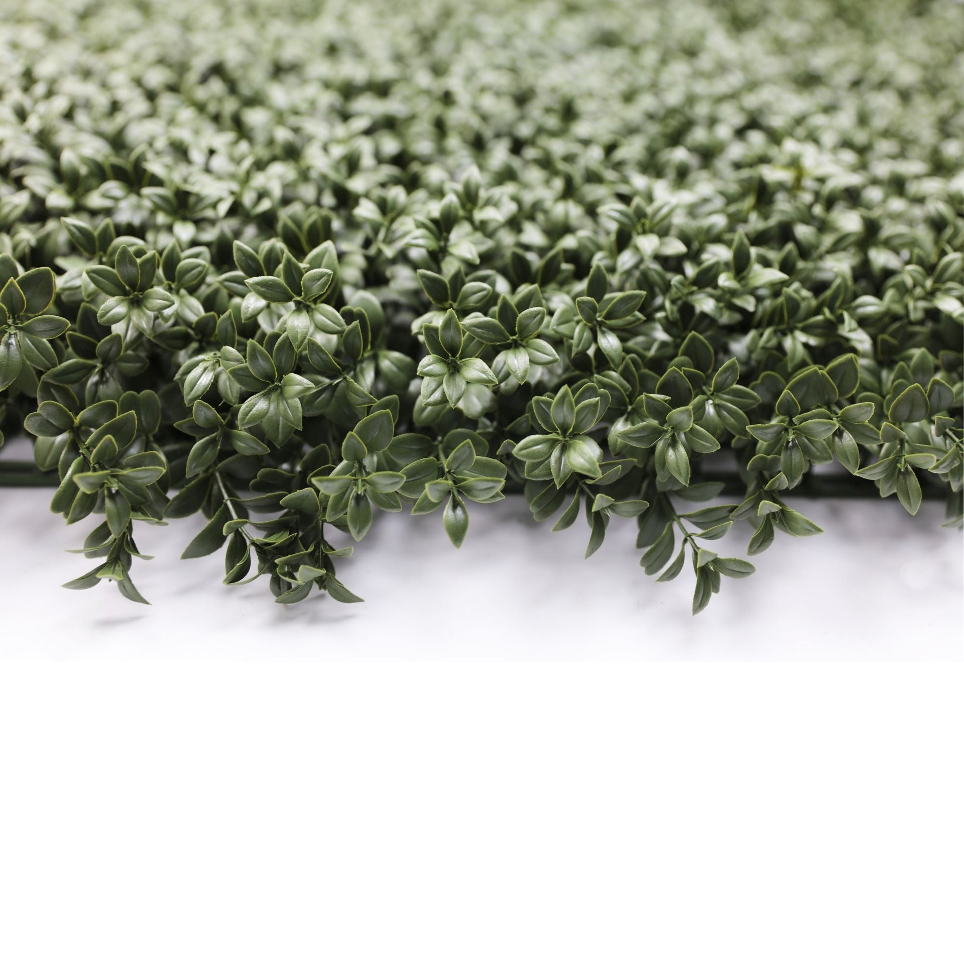 Natural Dark Green Boxwood Artificial Vertical Garden Green Wall Panel 40×40in 11 SQ FT – NFPA701 Fire Rated – UV Resistant – Commercial Grade