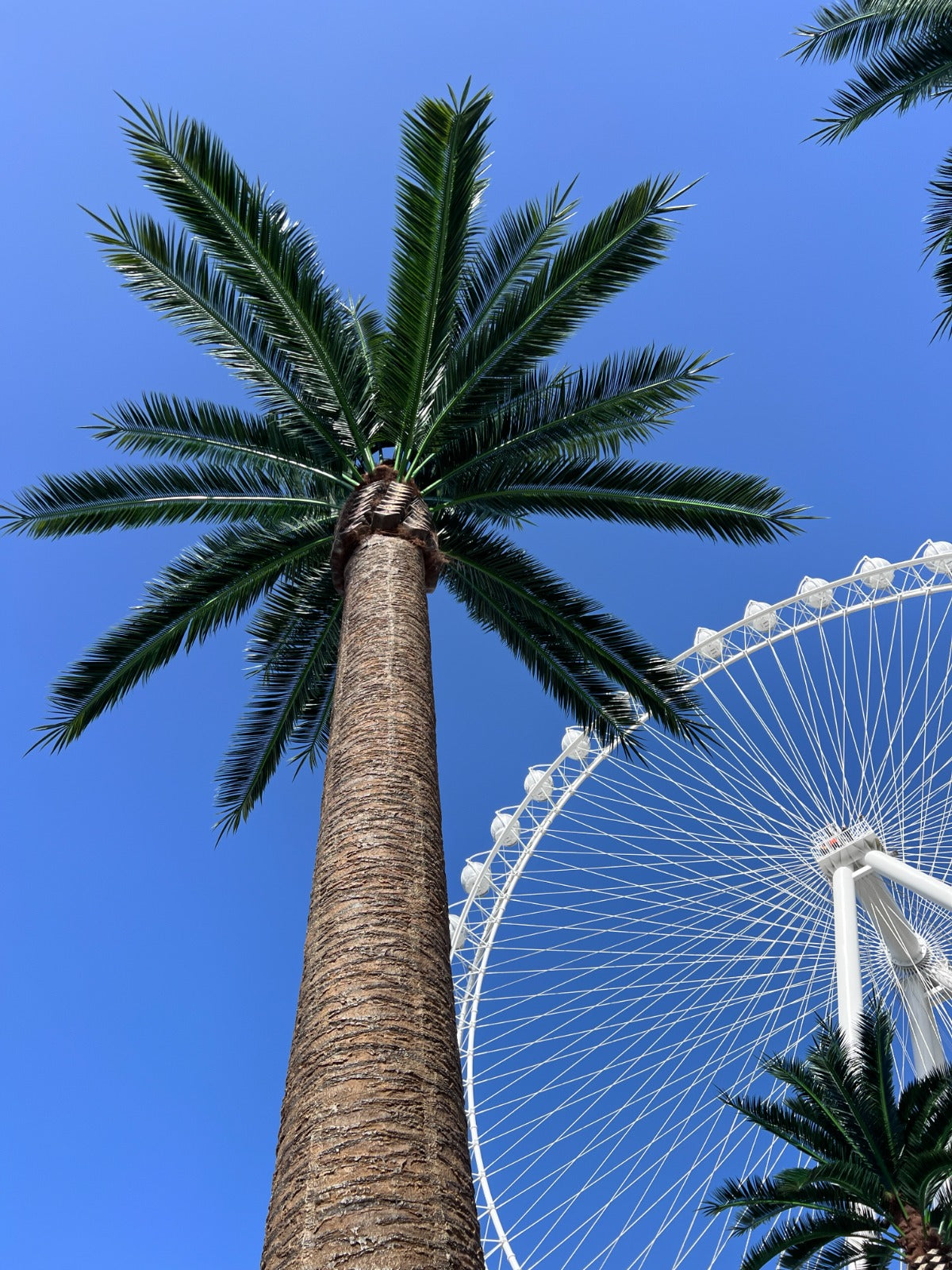 Florida Palm Artificial Tree 13ft–23ft – UV Resistant (10–12 Week Lead Time)