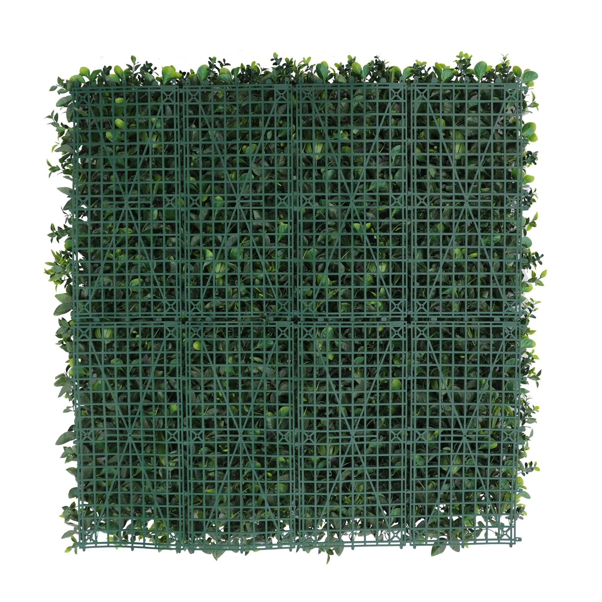 Sample Panel – Green Tropics Vertical Garden (Small Sample)