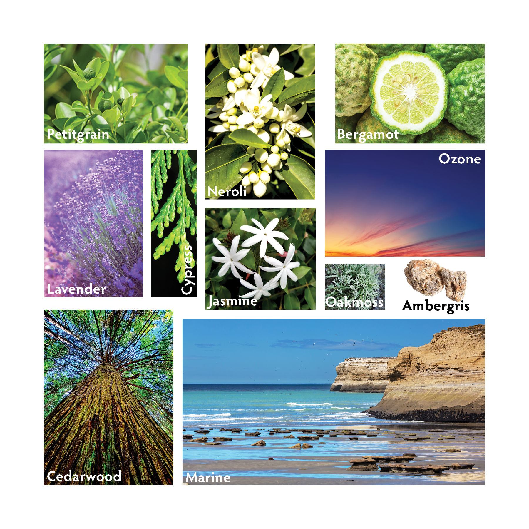 Atlántico Travel Room Spray