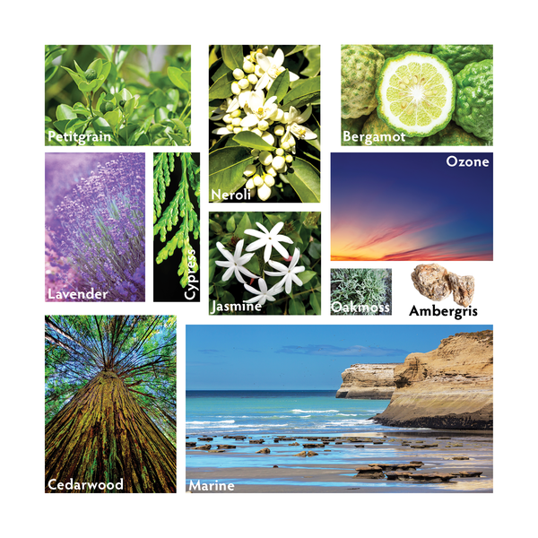 Atlántico Travel Room Spray