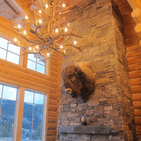 Authentic Elk Antler Cascade Chandelier - Small - Gifts for You 'n Me