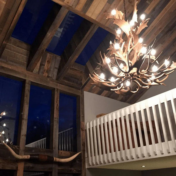 Authentic Fallow & Mule Deer Chandelier - Cascade - Gifts for You 'n Me