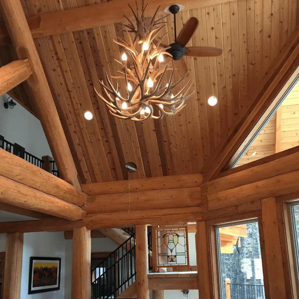 Authentic Mule Deer Chandelier - Large - Gifts for You 'n Me