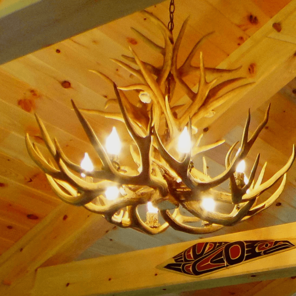 Authentic Mule Deer Royal Chandelier - Extra Large