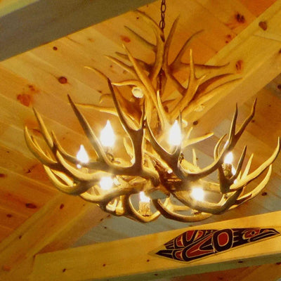 Authentic Mule Deer Royal Chandelier - Extra Large