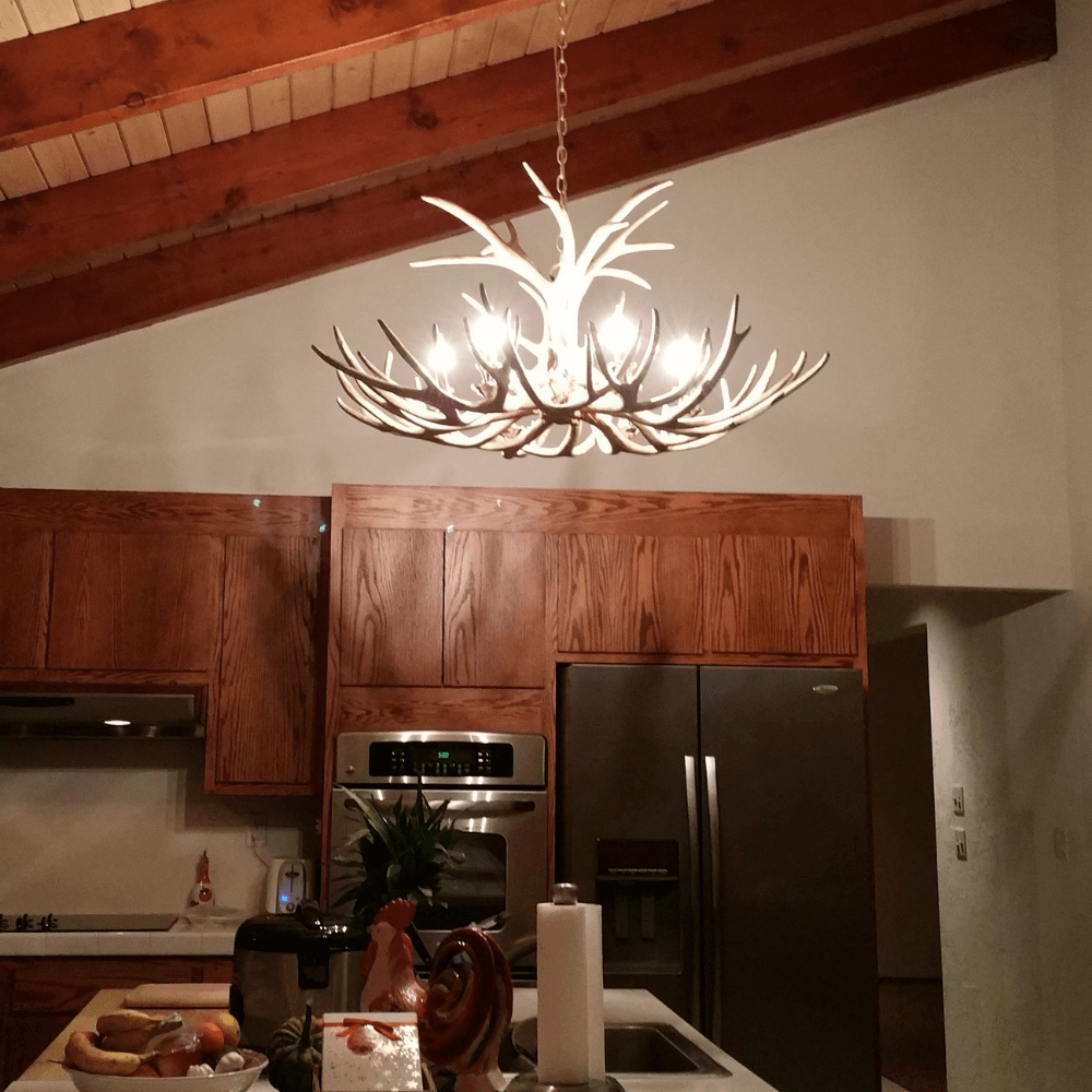 Authentic Mule Deer Single Tier Chandelier - Extra Large