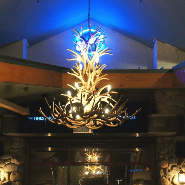 Authentic Mule Deer Tall Chandelier - Extra Large - Gifts for You 'n Me