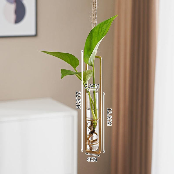 Scandinavian-Style Glass Hydroponic Vase for Living Room with Creative Hanging Door Decor and Wall Ivy Plant Water Cultivation Transparent Pot