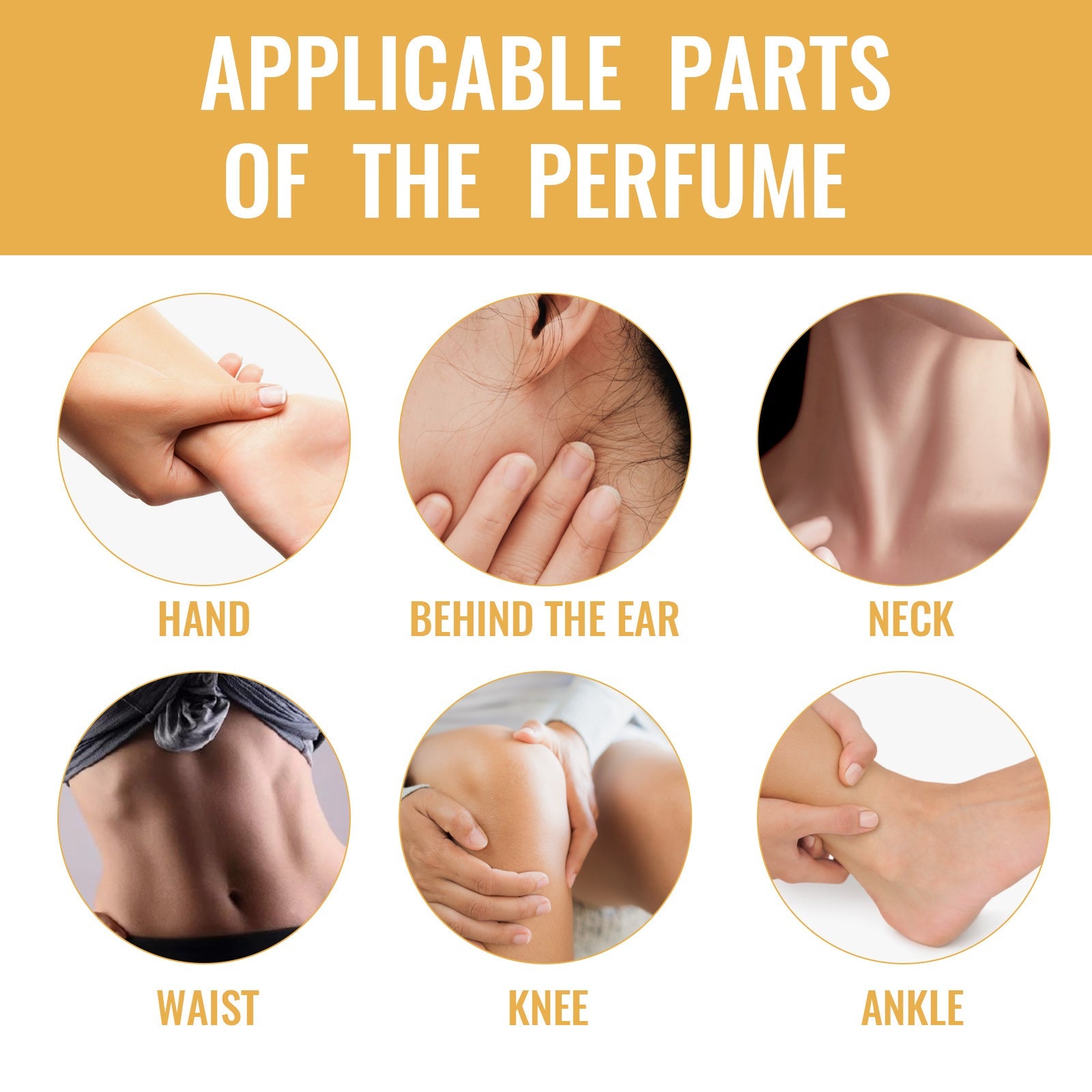 Lady Arabian Perfume Ball Wrist Behind Ear Unique Fragrance Fresh Charming Lasting Fragrance Release Charm