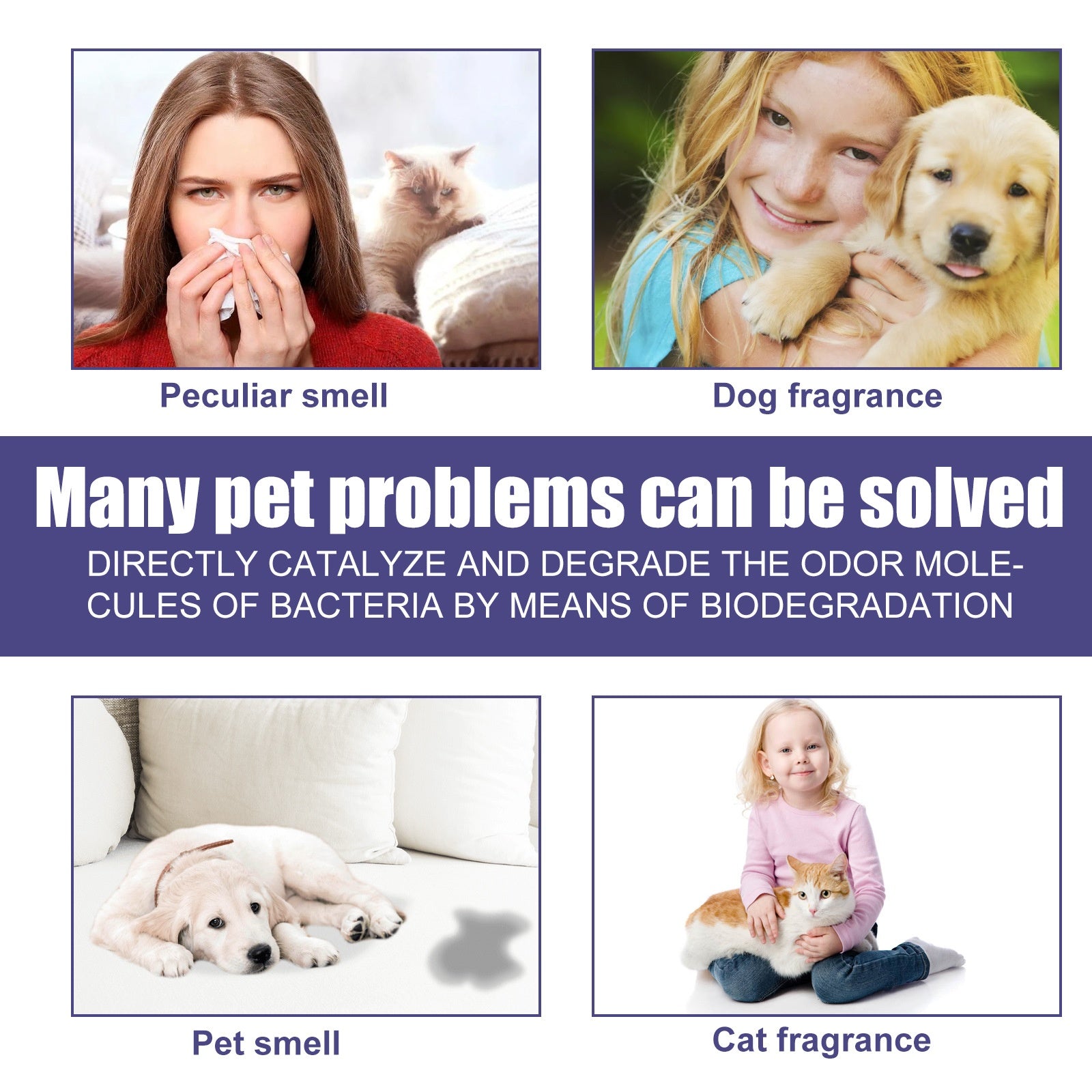 Pet Deodorant Spray for Cats and Dogs - Eliminates Odors, Urine Smell, Body Odor, and Feces Odor, Air Freshener Mist