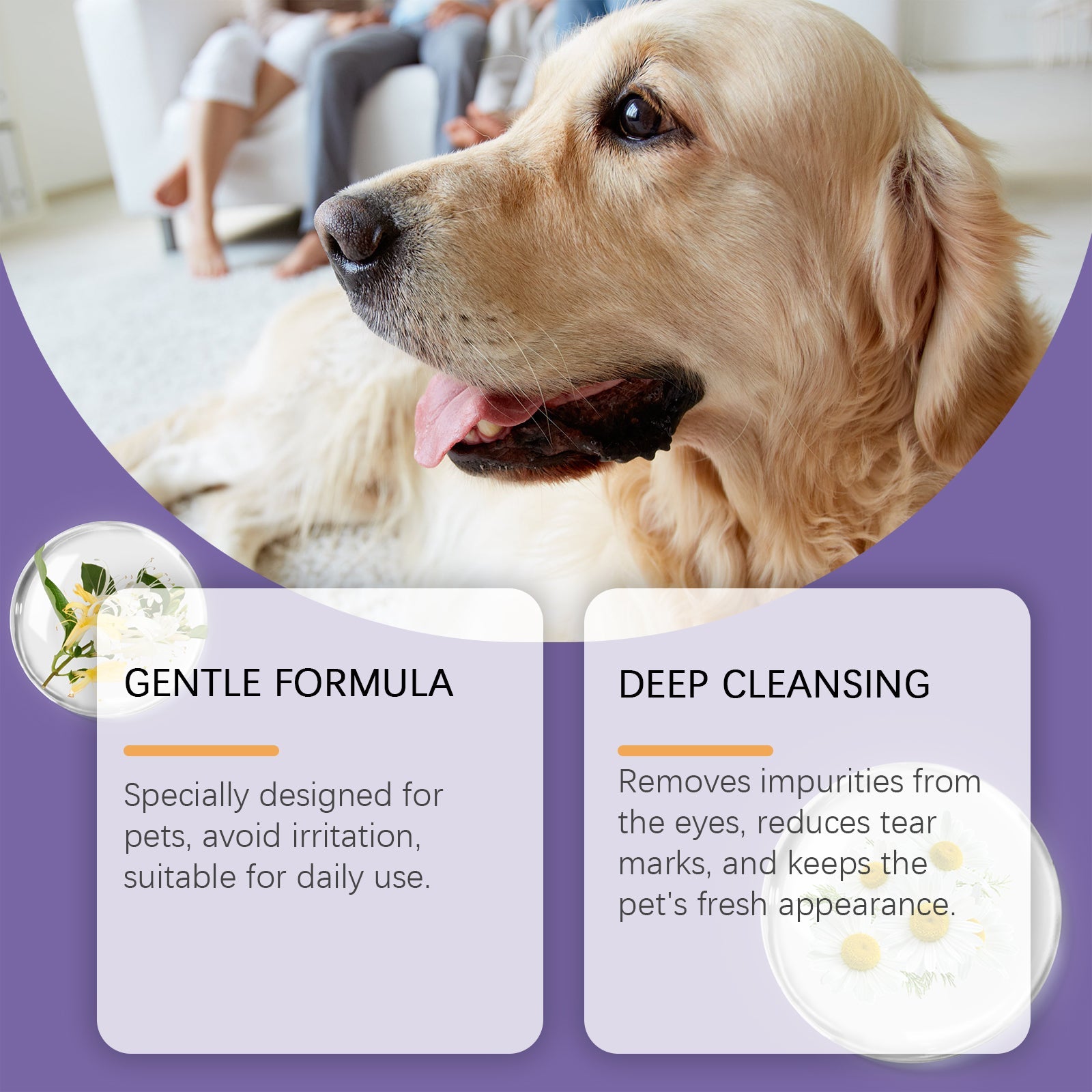 Gentle Eye Wash For Pets Gently Cleans The Eye Dirt Of Pet Cats And Dogs