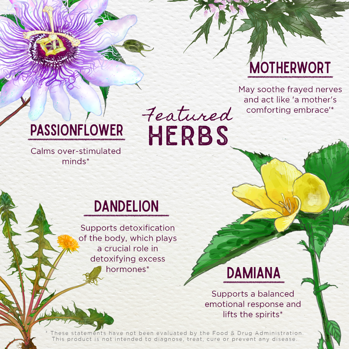 Illustration of herbs including passionflower, dandelion, and damiana with descriptive text on a light background.