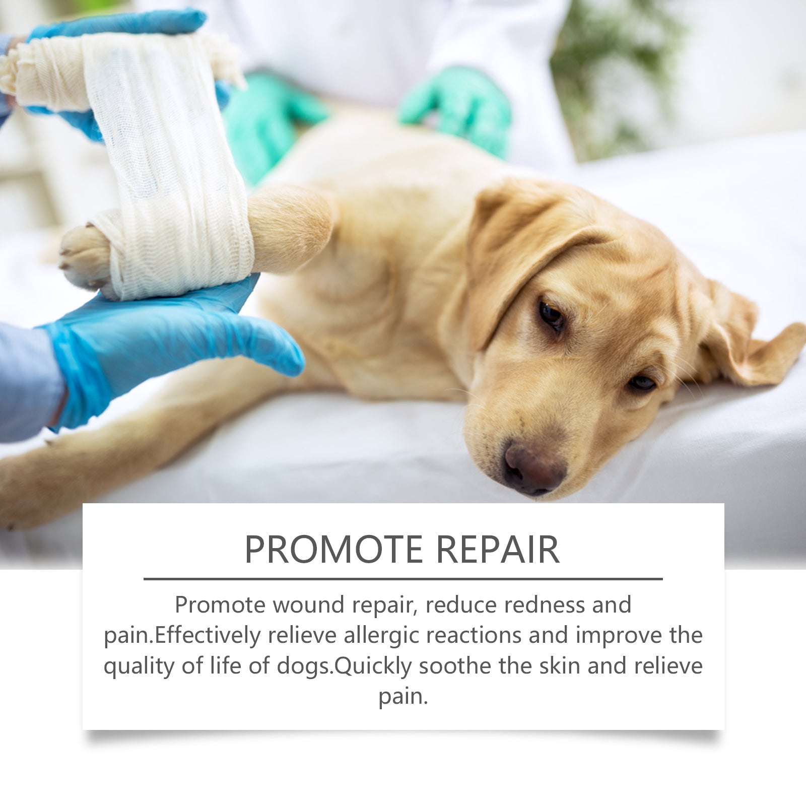 Dog Care Spray, Clean Dog Care Pet Plant Essence Skin Care Spray