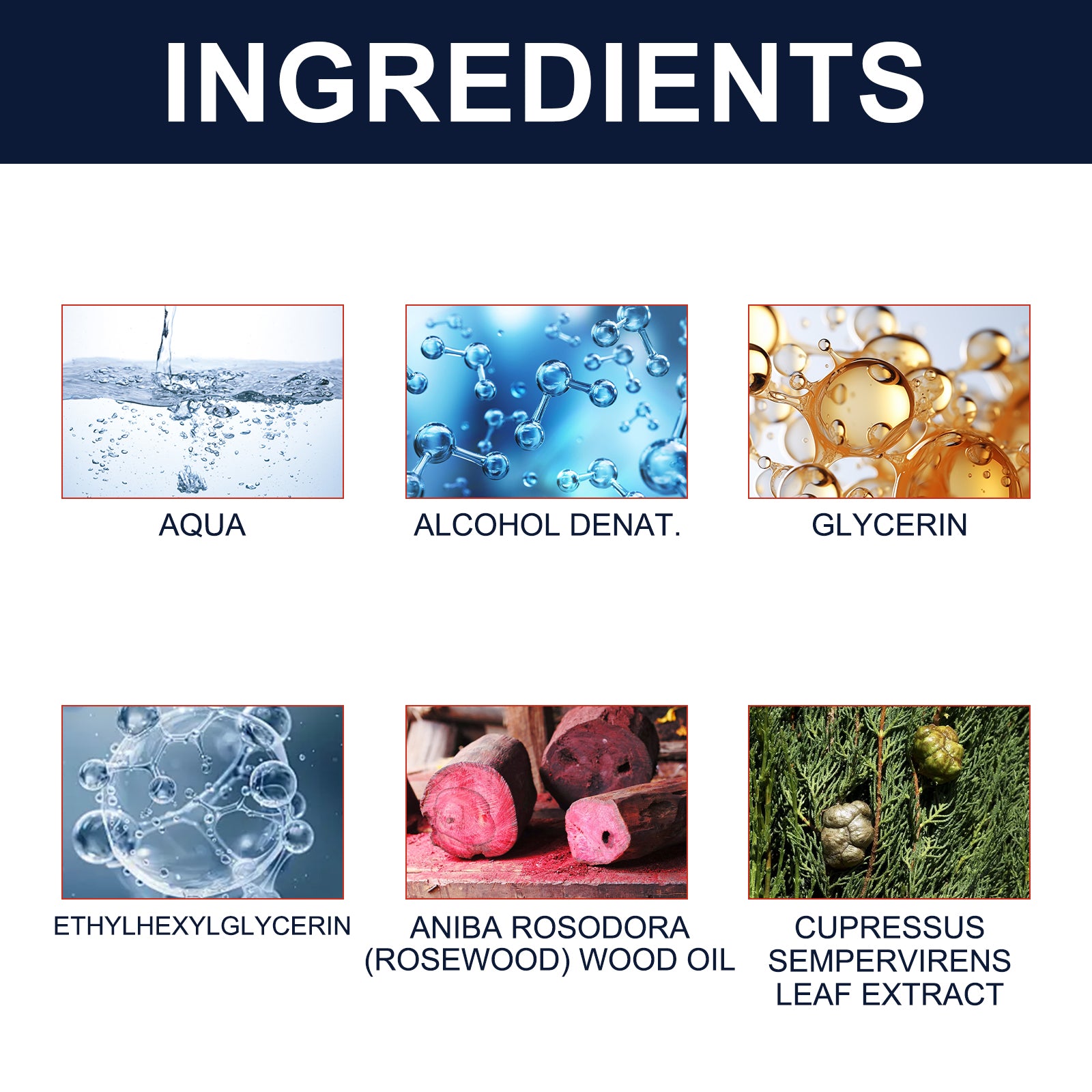 Men's Cologne Fresh Natural Elegant Lasting Fragrance Gentleman Dating Atmosphere Perfume